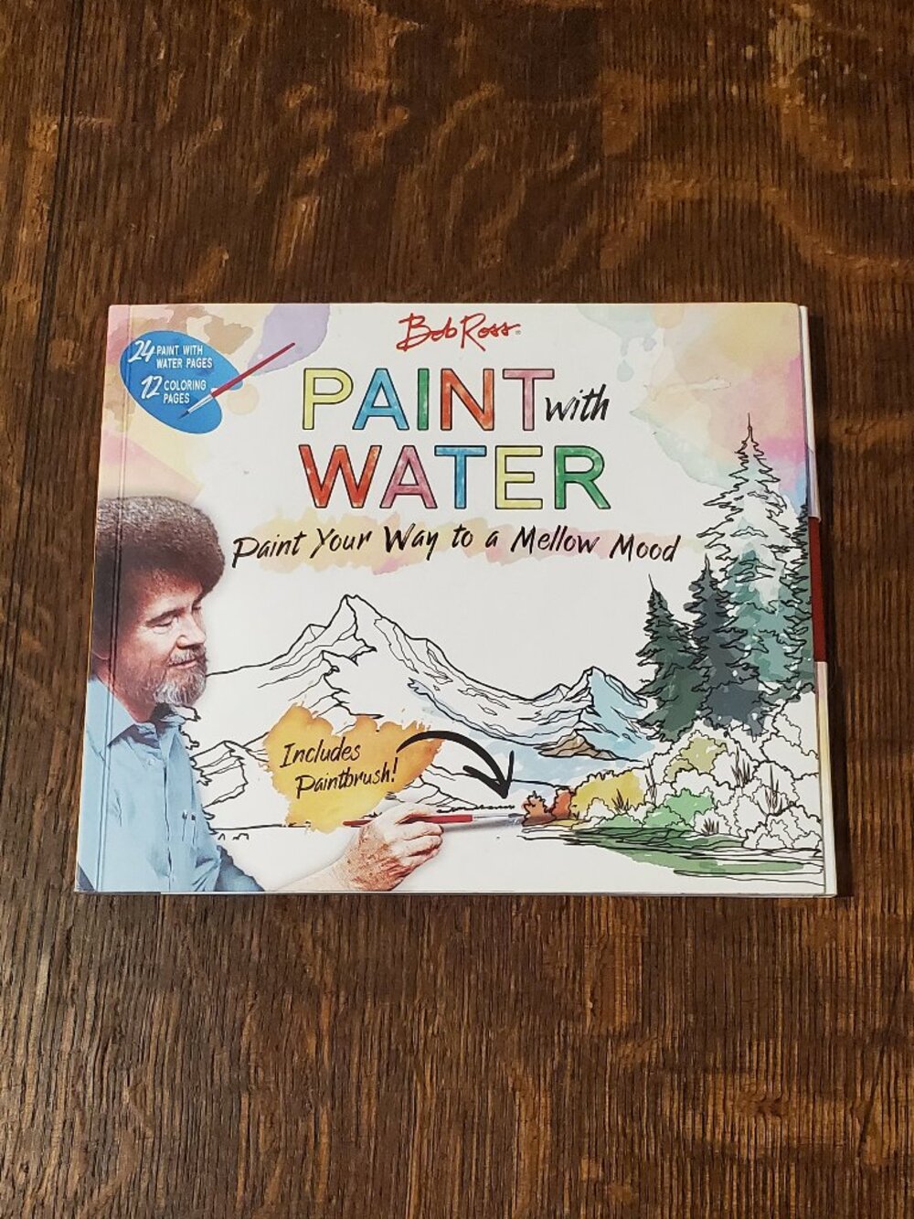 Bob Ross Paint with Water Watercolor Painting Book